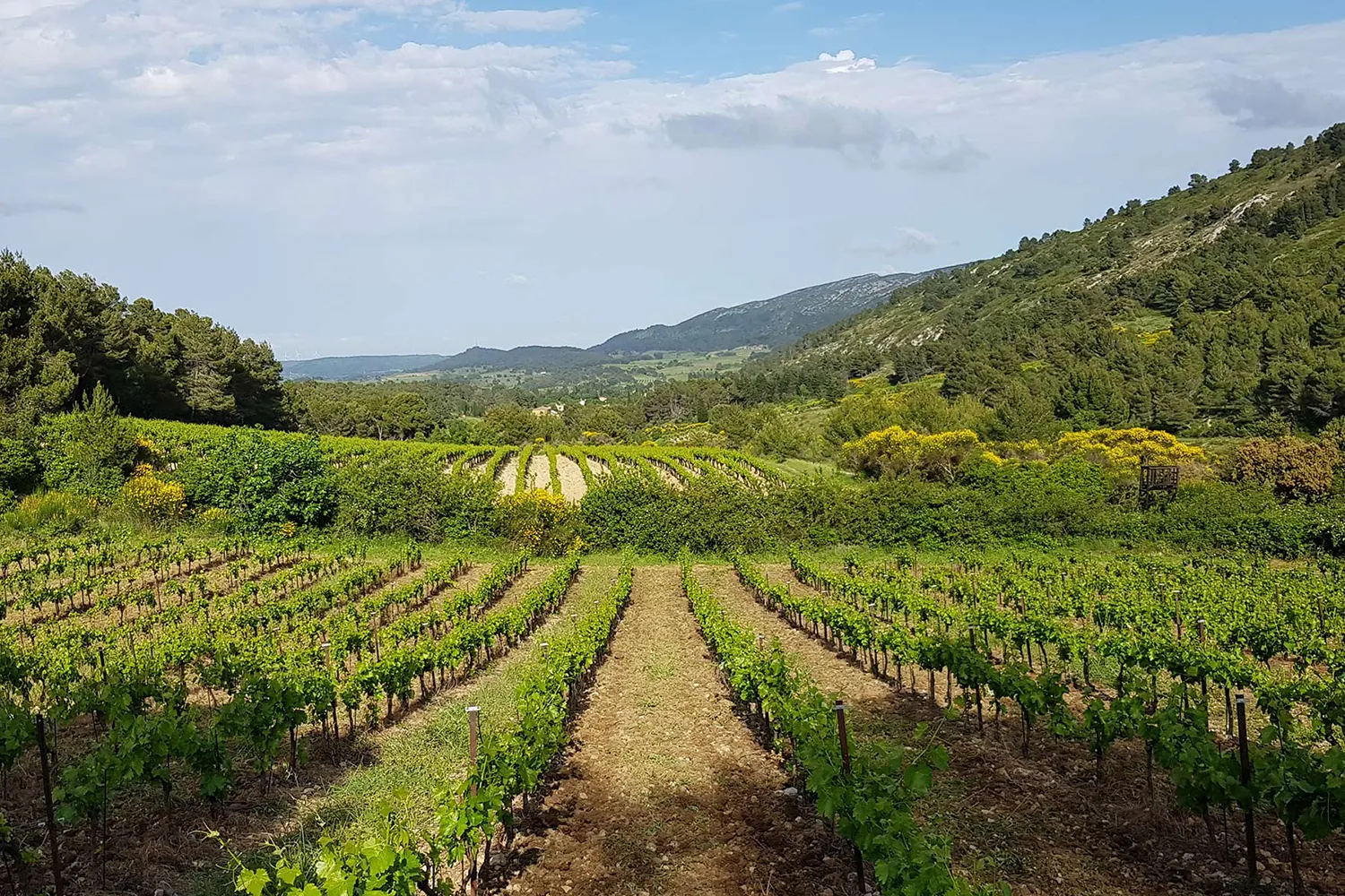Domaine entre Narbonne et Carcassonne