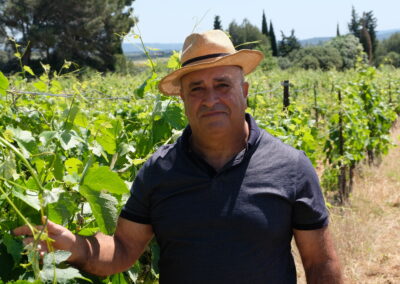 Vincent Licciardi